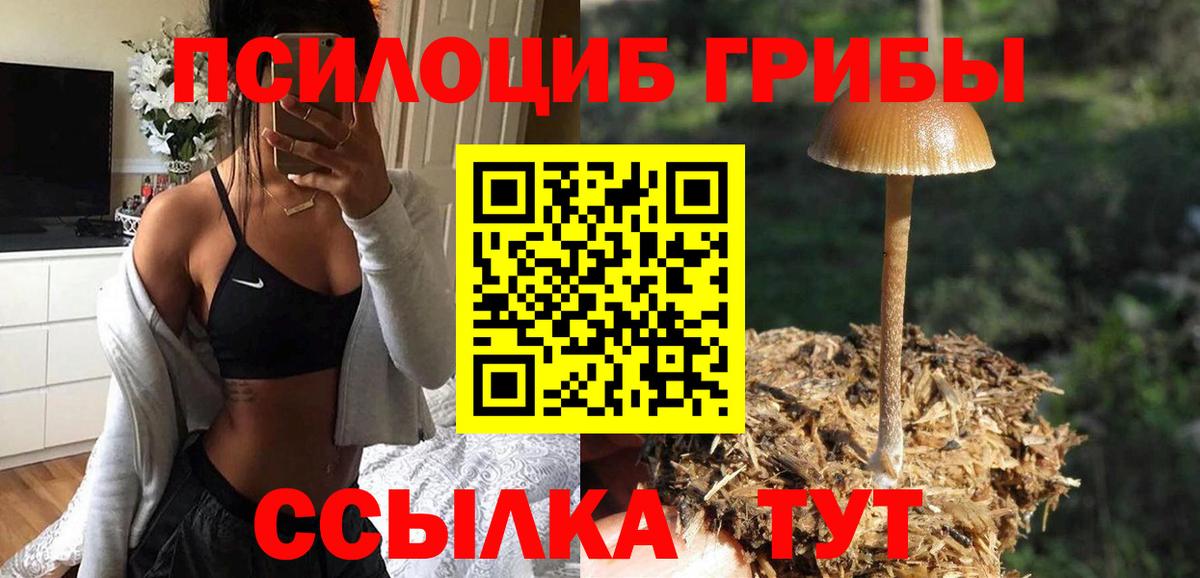 Псилоцибиновые грибы MAGIC MUSHROOMS  Вход с VPN  Бирск 